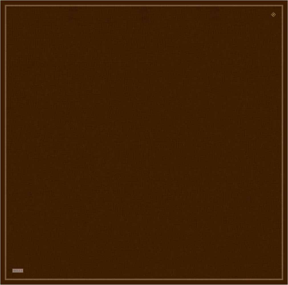  - BELLİ TİVİL İPEK EŞARP/ 4305D-01