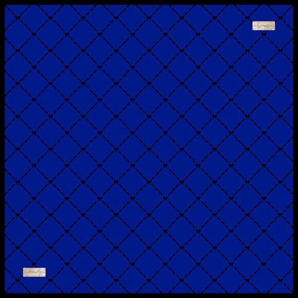 La Boutique Sura İpek Eşarp /2094-12