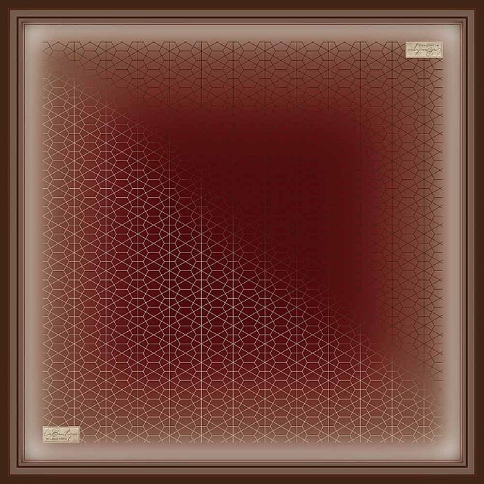 La Boutique Sura İpek Eşarp/2489-02