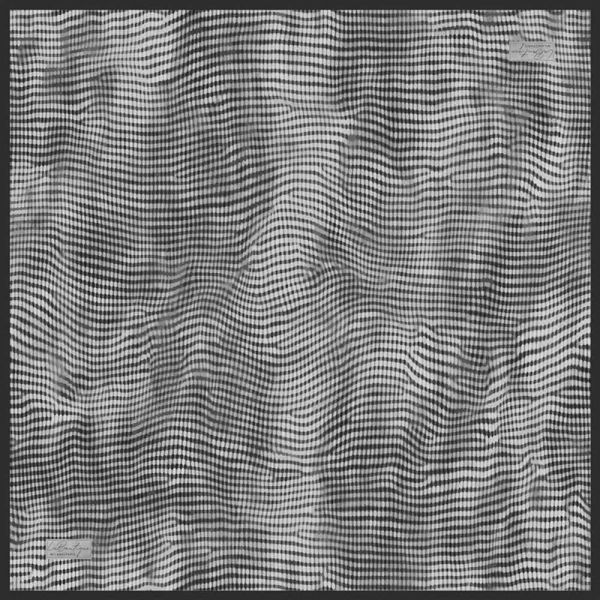 La Boutique Sura İpek Eşarp/2501-02